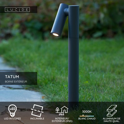 Lucide TATUM - Borne extérieur - LED - 1x5W 3000K - IP65 - Anthracite
